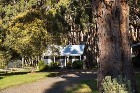 Bodhi Daylesford - Kempsey Accommodation 8