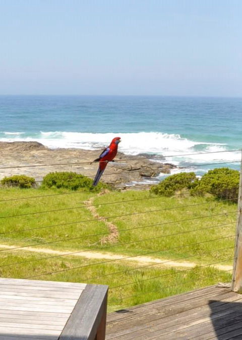 14 Steps - Kempsey Accommodation 15