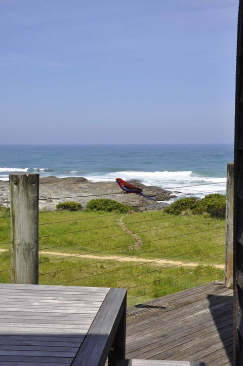 14 Steps - Kempsey Accommodation 14
