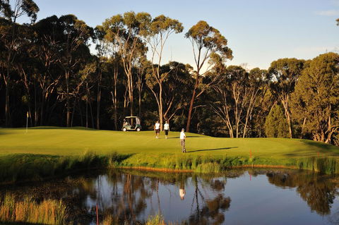 RACV Goldfields Resort - Kempsey Accommodation 31