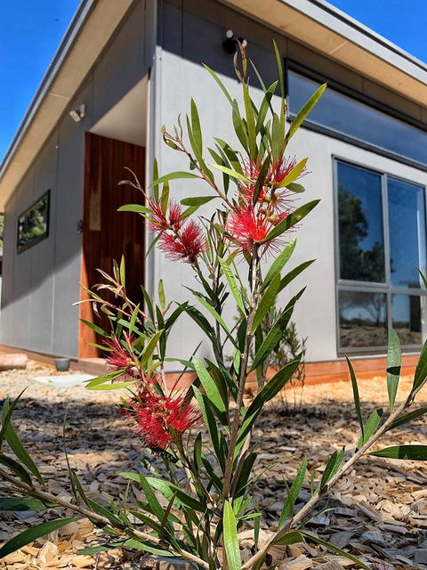 By Moonlight - Kempsey Accommodation 4