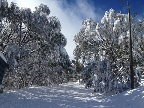 Maisonettes Falls Creek - Kempsey Accommodation 17
