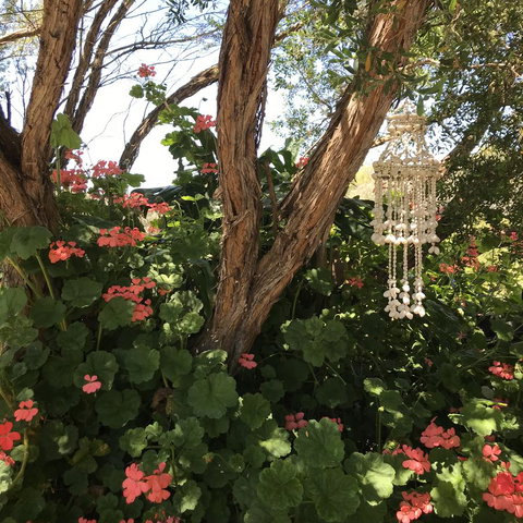 The Fingal Farm - Kempsey Accommodation 27