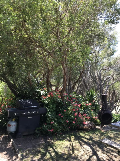 The Fingal Farm - Kempsey Accommodation 24