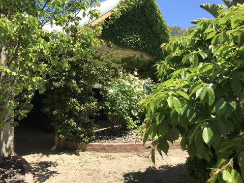 The Fingal Farm - Kempsey Accommodation 34