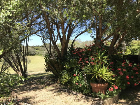 The Fingal Farm - Kempsey Accommodation 9