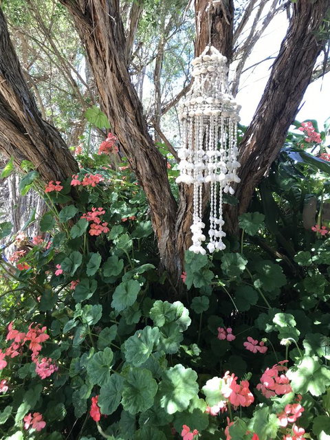 The Fingal Farm - Kempsey Accommodation 10