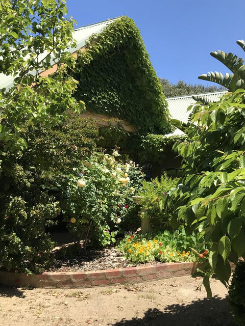 The Fingal Farm - Kempsey Accommodation 7