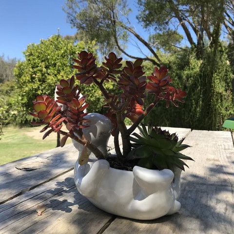 The Fingal Farm - Kempsey Accommodation 30