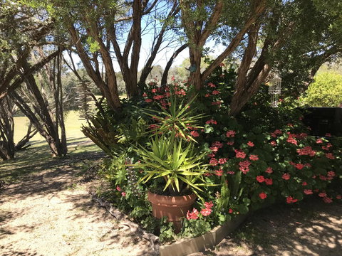 The Fingal Farm - Kempsey Accommodation 33