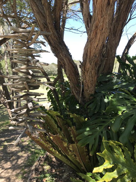 The Fingal Farm - Kempsey Accommodation 11