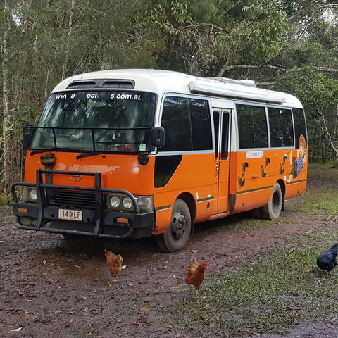 The Cabin - Kempsey Accommodation 3