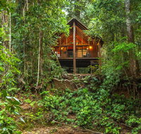 The Canopy Rainforest Treehouses  Wildlife Sanctuary - Kempsey Accommodation