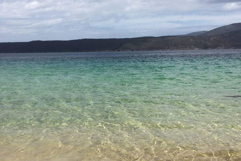 The Cove... On The Rocks At Port Arthur - Kempsey Accommodation 1