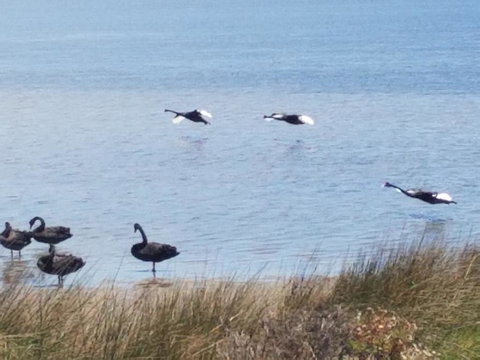 The DOLPHIN PLACE - Kempsey Accommodation 0