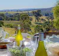 The Farmhouse - grape vines and rolling green hills - Kempsey Accommodation