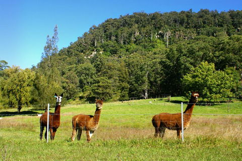 The Heavens Mountain Escape - Kempsey Accommodation 2