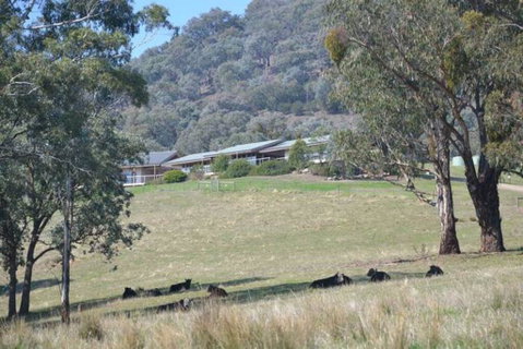 The Homestead At Holmeslgen At Eildon - Kempsey Accommodation 1