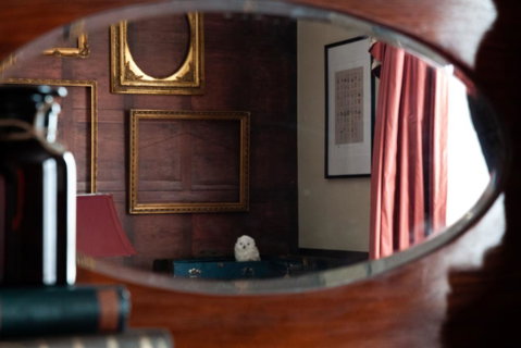 The Hotel Windsor - Kempsey Accommodation 1