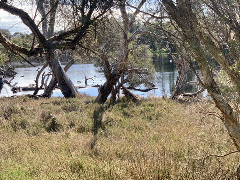 The Lake House - Kempsey Accommodation 0