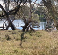 The Lake House - Kempsey Accommodation