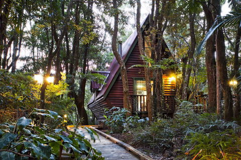 The Mouses House Rainforest Retreat - Kempsey Accommodation 1