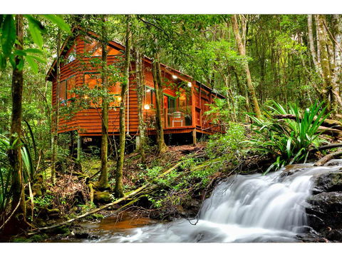 The Mouses House Rainforest Retreat - Kempsey Accommodation 0
