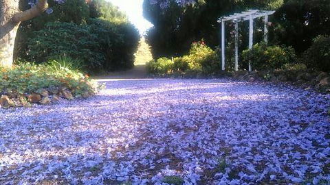 The Old Church Bed And Breakfast - Kempsey Accommodation 2