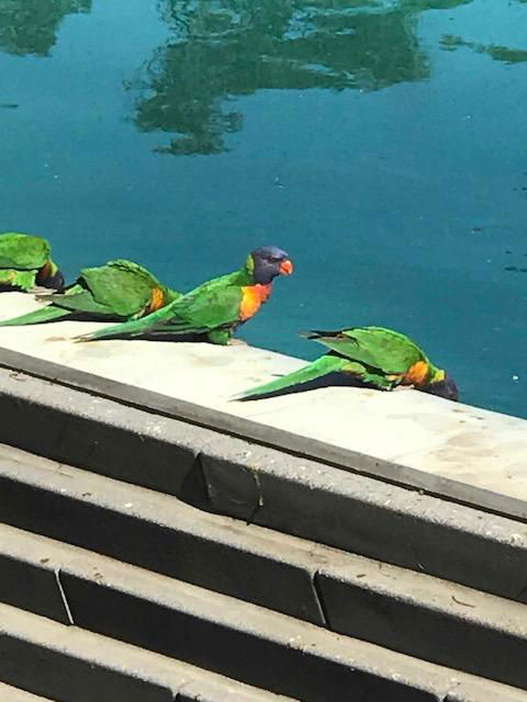 The Pool House - Kempsey Accommodation 1