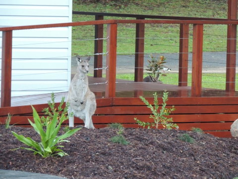 The Pouch B & B - Kempsey Accommodation 1