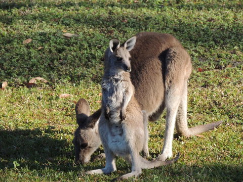 The Pouch B & B - Kempsey Accommodation 2