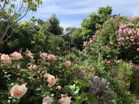 The Racecourse Inn - Kempsey Accommodation 2