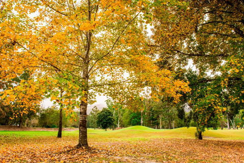 The Retreat At Wisemans - Kempsey Accommodation 1