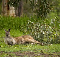 The Stirling Golf Club - Kempsey Accommodation