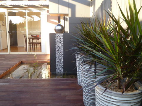 The Wet Lizard - Kempsey Accommodation 0