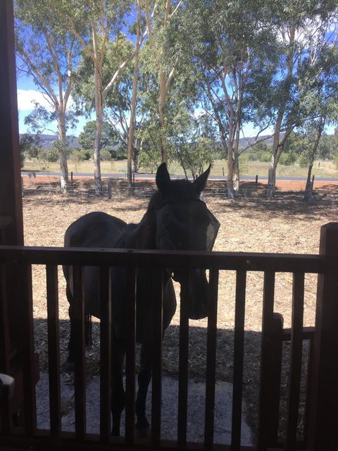Thie My Chree Retreat - Kempsey Accommodation 3