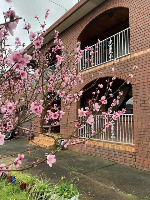 Thomastown Antique House Room 3 - Kempsey Accommodation 3