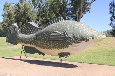 Tocumwal Hotel Motel (The Palms) - Kempsey Accommodation 1