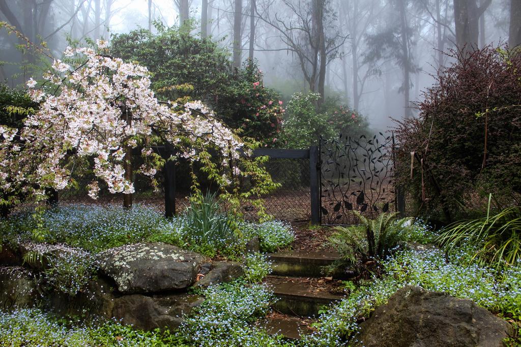 Mount Tomah NSW Kempsey Accommodation