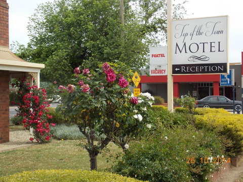 Top Of The Town Motel - Kempsey Accommodation 3