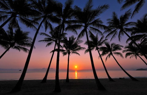 Tranquility Relax Palm Cove - Kempsey Accommodation 1