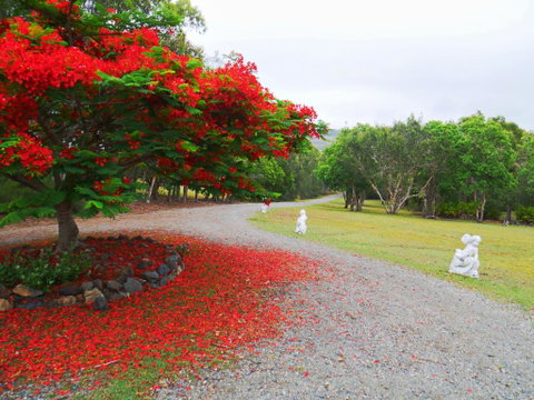 TRANQUILO BEACH HOUSE - Kempsey Accommodation 1
