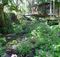 Treetops Montville - Kempsey Accommodation