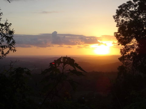 Treetops Montville - Kempsey Accommodation 3