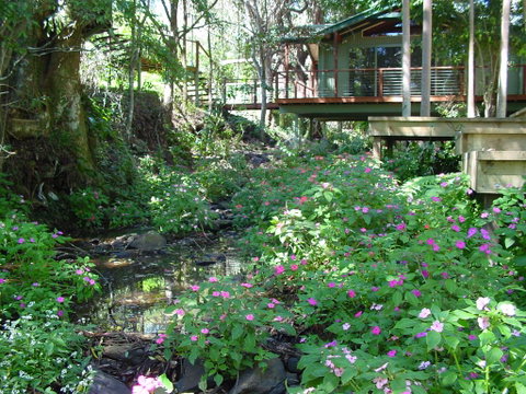 Treetops Montville - Kempsey Accommodation 0