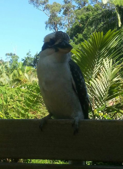 Tropic Oasis - Kempsey Accommodation 3