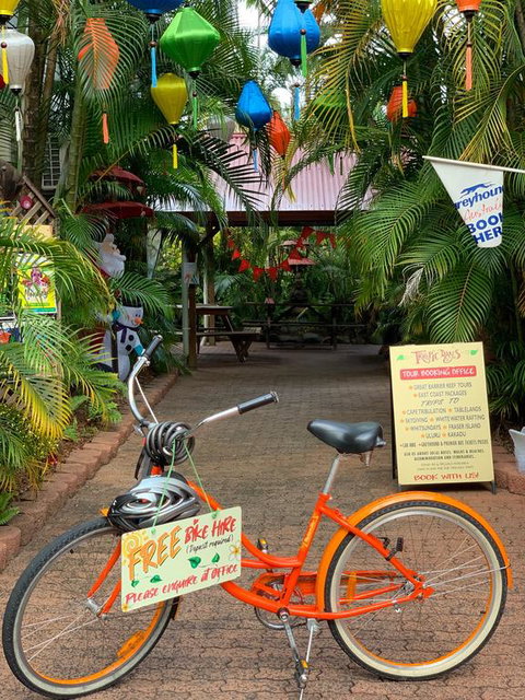 Tropic Days Boutique Hostel - Kempsey Accommodation 3