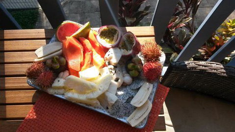 Turtle Reef Bed & Breakfast Cairns - Kempsey Accommodation 2