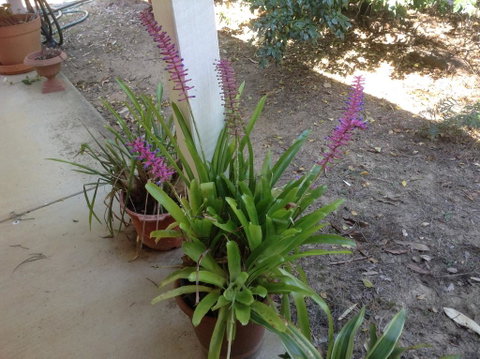 Twilight Grove Farm - Kempsey Accommodation 2