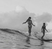 UMINA BEACH KOKOMO- Walk to the Beach FAMILY and PET FRIENDLY set of 3 Vintage Original Holiday Flats  Vintage Caravan and Bat - Kempsey Accommodation